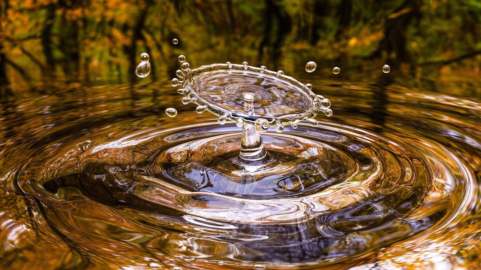 Launching SOLUCIR -  Soluctions for Circular Water and decentralisation